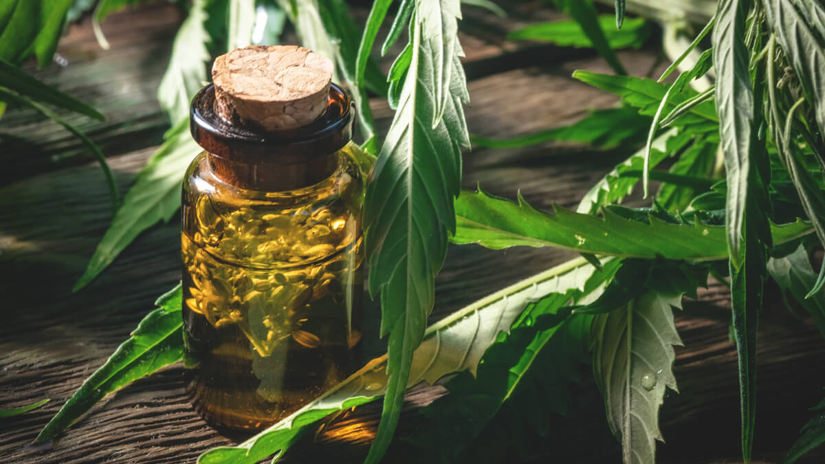 CBD ulje u staklenoj bočici među listovima konoplje
