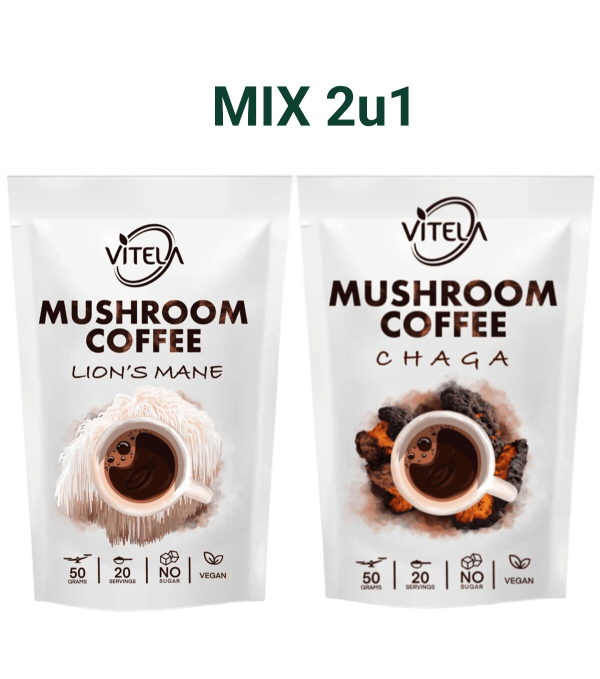 Lavlja griva i Chaga kava s gljivama za fokus, koncentraciju i jačanje imuniteta