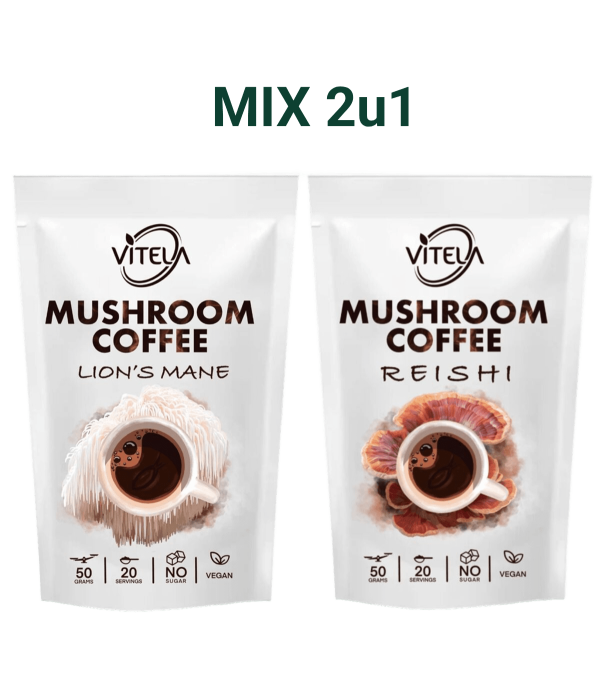 Lavlja griva i Reishi kava s gljivama za mentalnu jasnoću i unutarnji mir