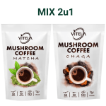 Matcha + Chaga kava – za detox i imunitet