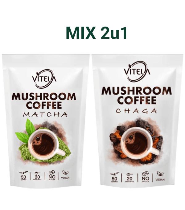 Matcha i Chaga kava s gljivama za prirodnu energiju i jačanje imuniteta