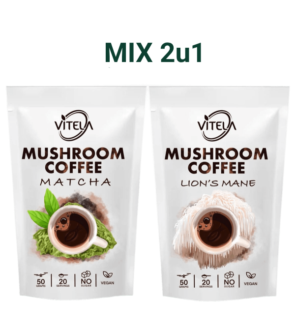 Matcha i Lavlja griva kava s gljivama za bolju koncentraciju i prirodnu energiju