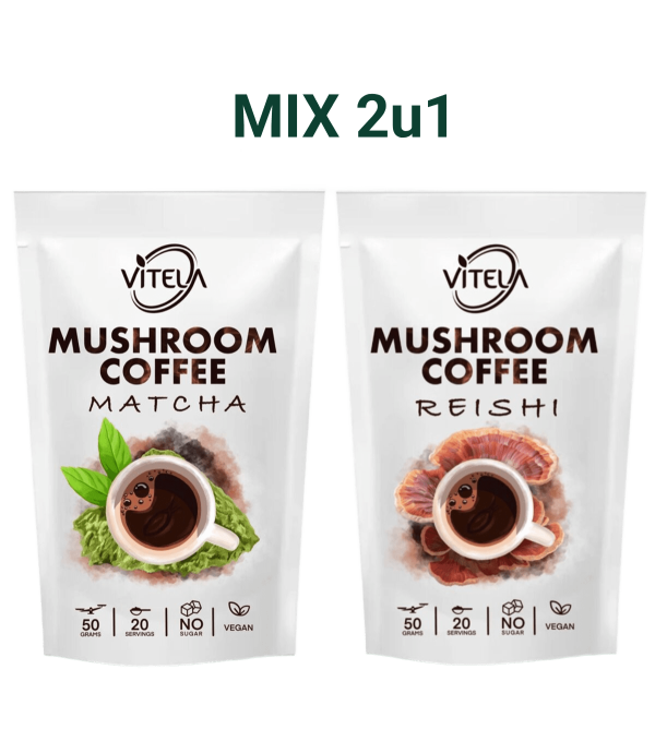 Matcha i Reishi kava s gljivama za prirodnu energiju i smirenje