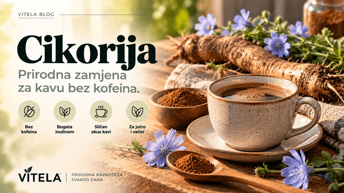 Cikorija – prirodna zamjena za kavu bez kofeina