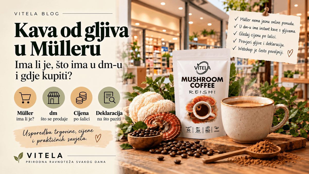Kava od gljiva u Mülleru i dm-u – cijena, ponuda i usporedba s webshopom